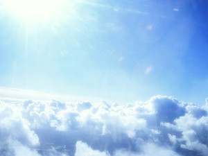 Photo_7